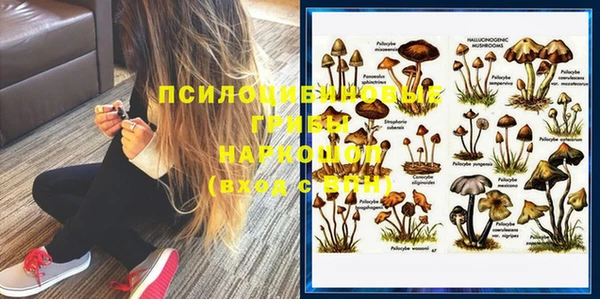 тгк Покровск