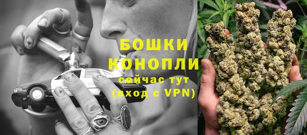 каннабис Покачи