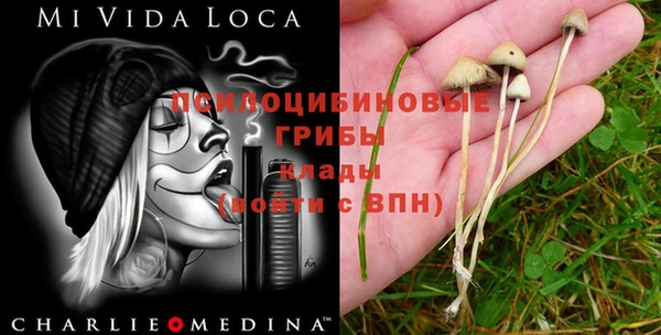каннабис Покачи