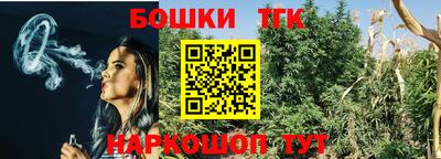 гидра Гатчина