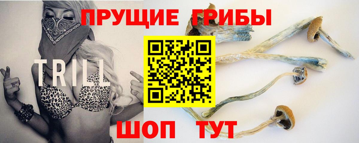 Псилоцибиновые грибы MAGIC MUSHROOMS  Псилоцибиновые грибы мухоморы  Славянск-на-Кубани 