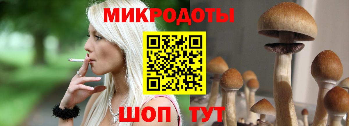 Галлюциногенные грибы GOLDEN TEACHER Славянск-на-Кубани