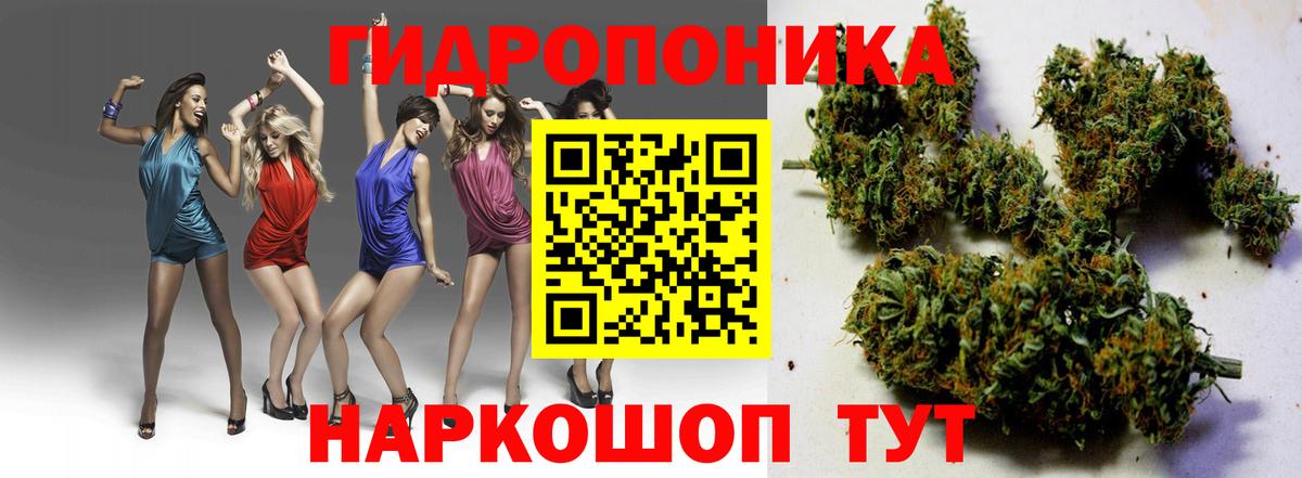 Бошки Шишки марихуана Славянск-на-Кубани